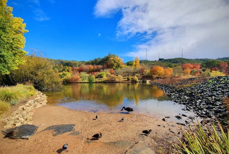 Mount Lofty Botanic Garden